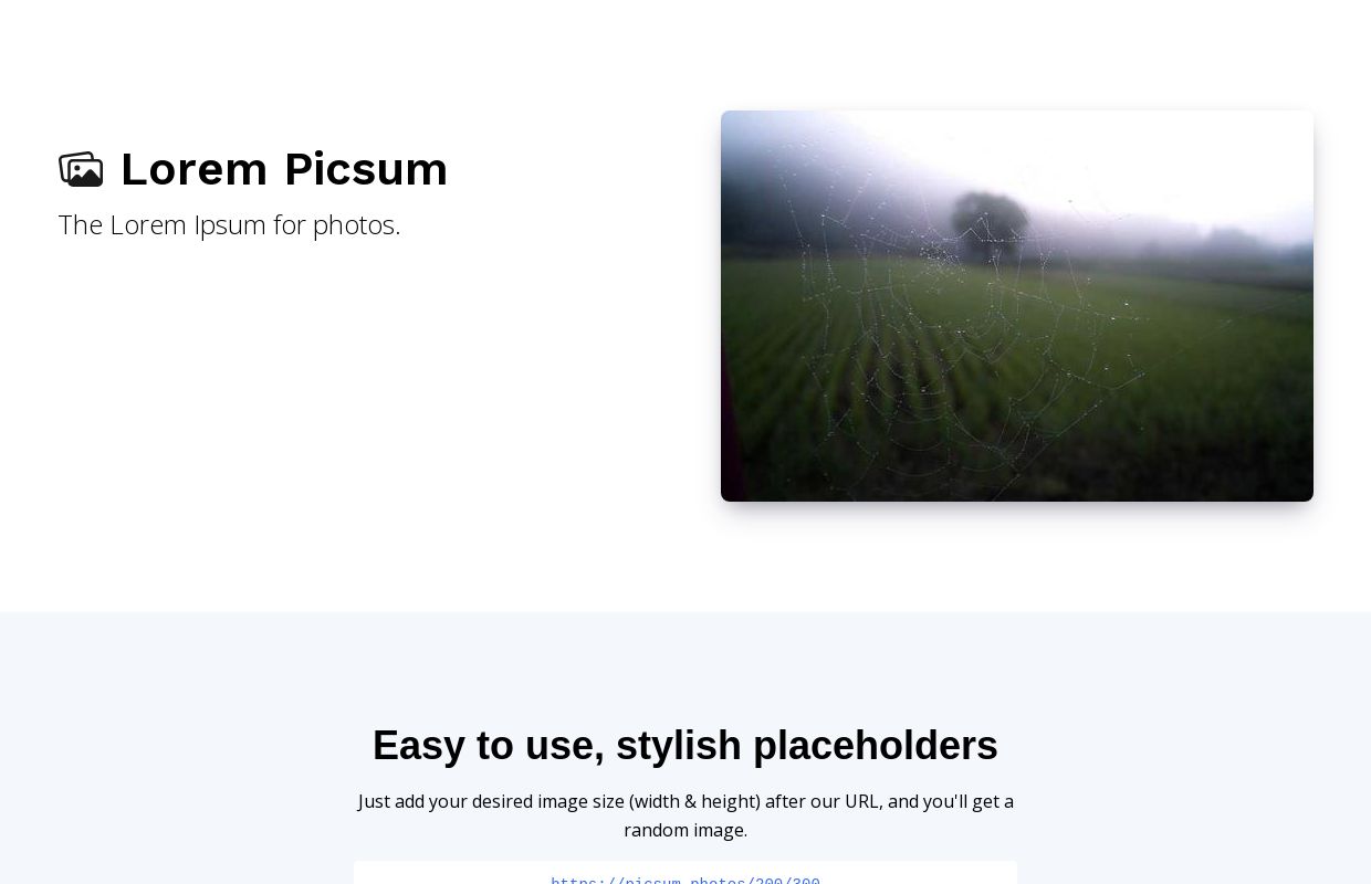 Lorem Picsum
