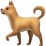 PlaceDog