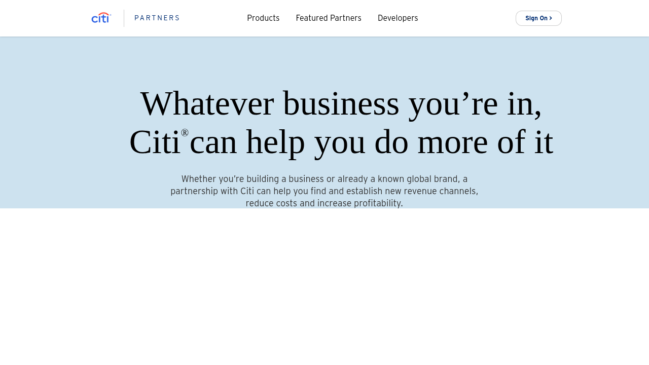 Citi preview interface